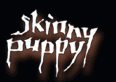 sp.gif (3725 bytes)