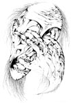 Misanthropy